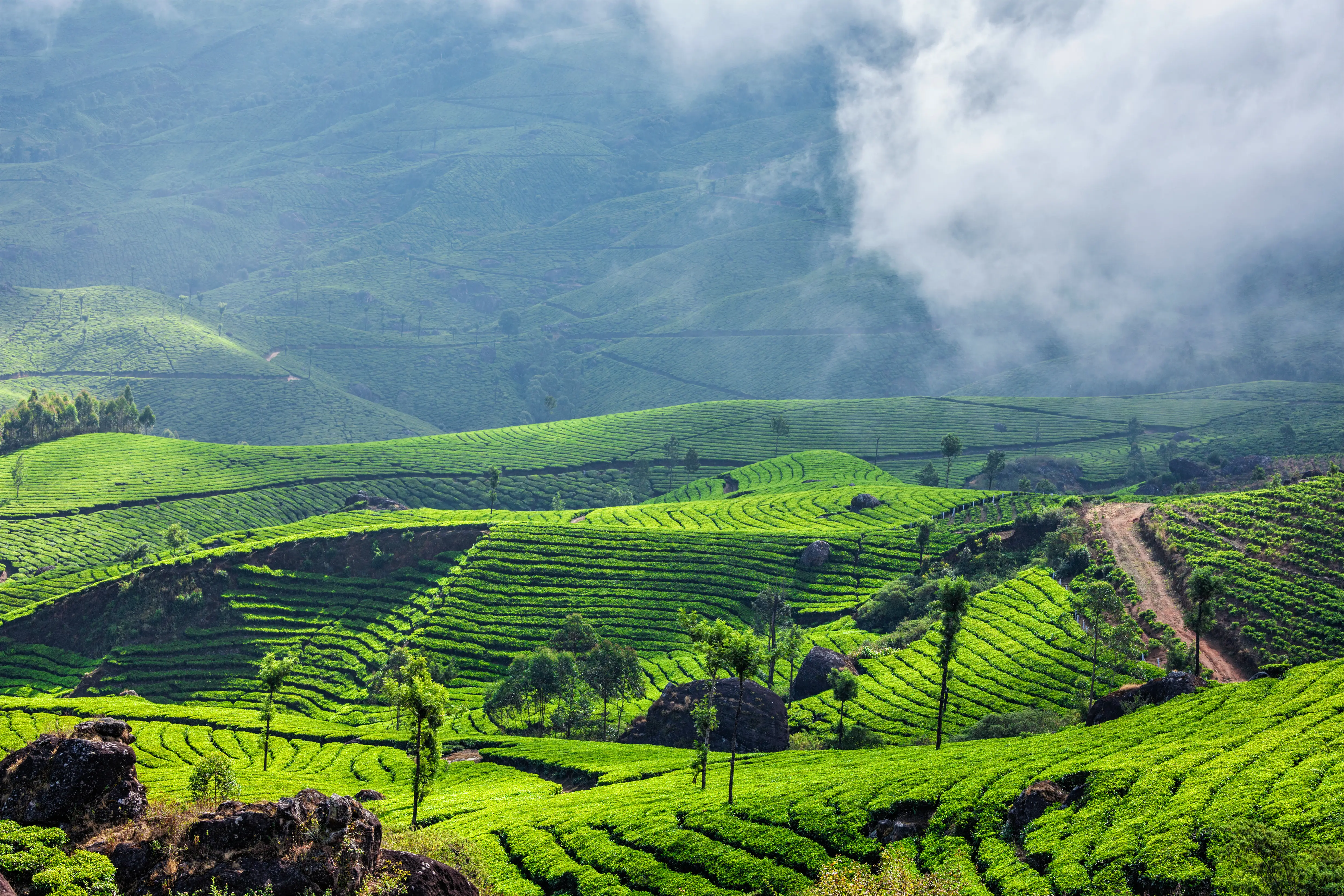 Kerala Nature Stay